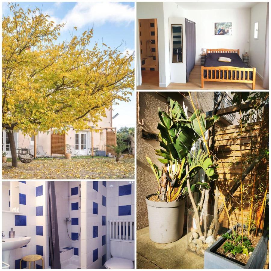 Mas Paret Studio Plein Sud - Parc 1 Ha Au Calme Argelès-sur-Mer Exterior foto